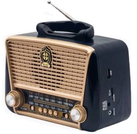 Radio FM Bluetooth RAISENG R-3166BT