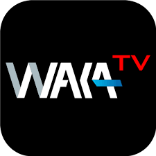 Box Android waka + 24 mois Waka tv